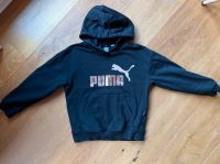 Puma Hoodie Kapuzenpullover wie neu Gr. 122 Altona - Hamburg Ottensen Vorschau