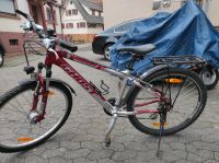 Fahrrad Ghost 26 Zoll, 24 Gang, Nabendynamo, Standlicht Baden-Württemberg - Friesenheim Vorschau