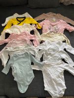 Baby Langarmbodies Größe 62/68 Dortmund - Bodelschwingh Vorschau