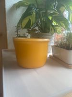 Blumentopf Übertopf Keramik gelb mustard scandi Leipzig - Leipzig, Zentrum-Ost Vorschau