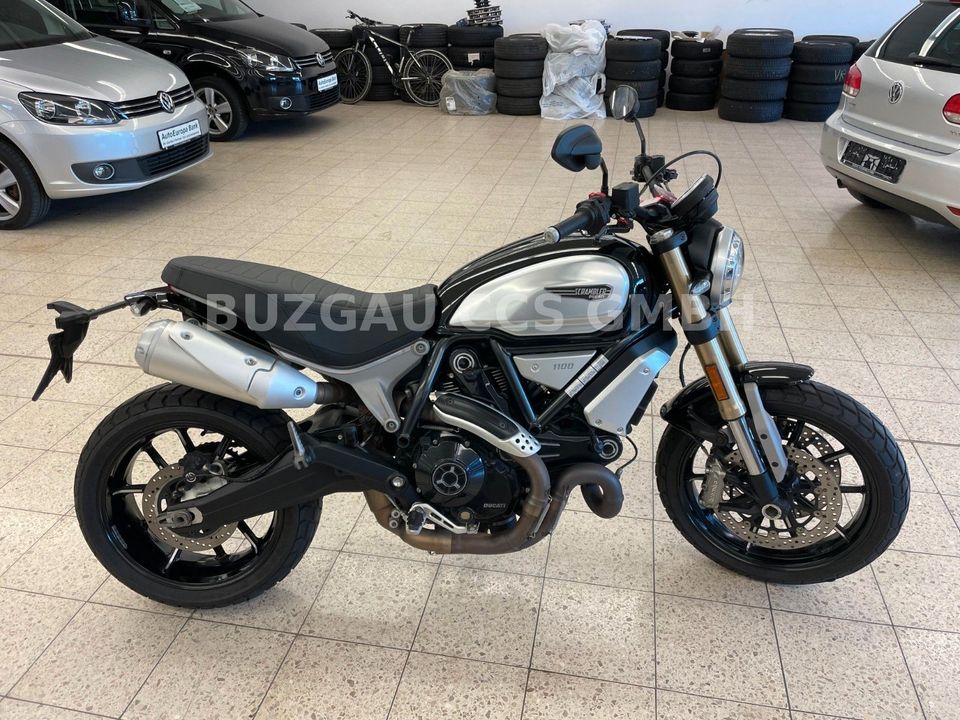 Ducati Scrambler 1100 Blade in Scheinfeld