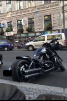 Harley Davidson Night Rod /V Rod Berlin - Tempelhof Vorschau