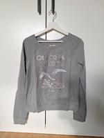 Hollister Pullover / Sweatshirt Hessen - Espenau Vorschau