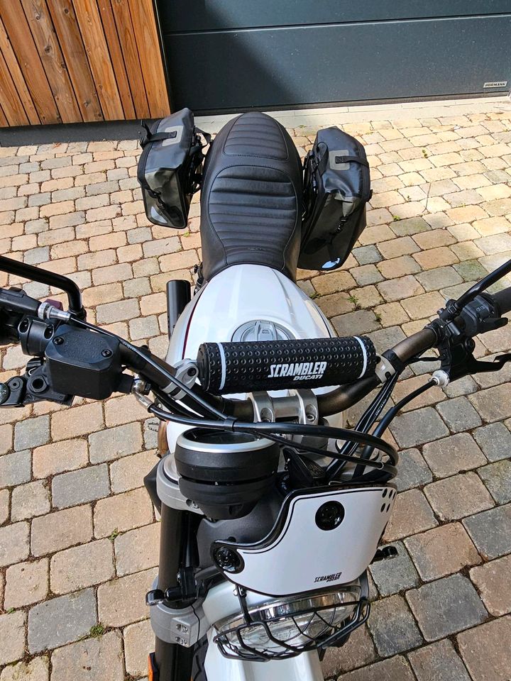 Ducati Scrambler Desert Sled in Lehrte