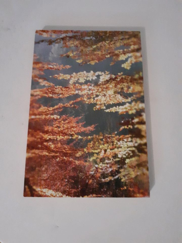 Bild Herbstwald - auf Holz gedruckt in Weissach im Tal