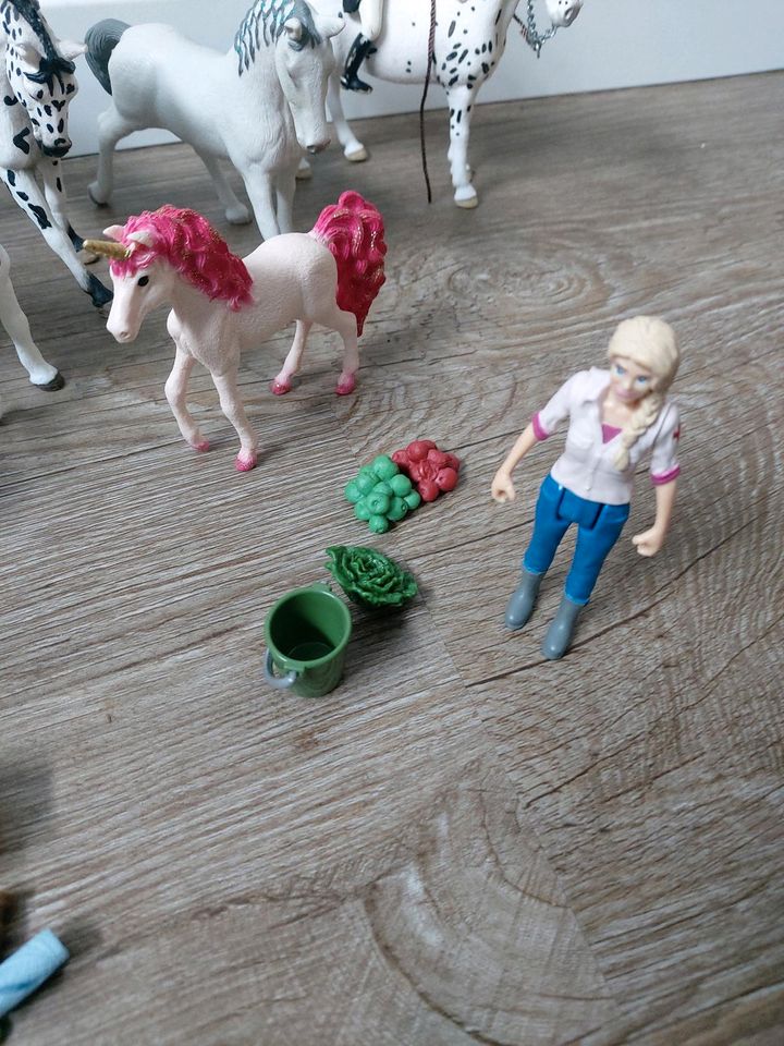 Schleich Pferde Fohlen Sammlung Konvolut Zubehör Einhorn Nr. 2 in Hamm