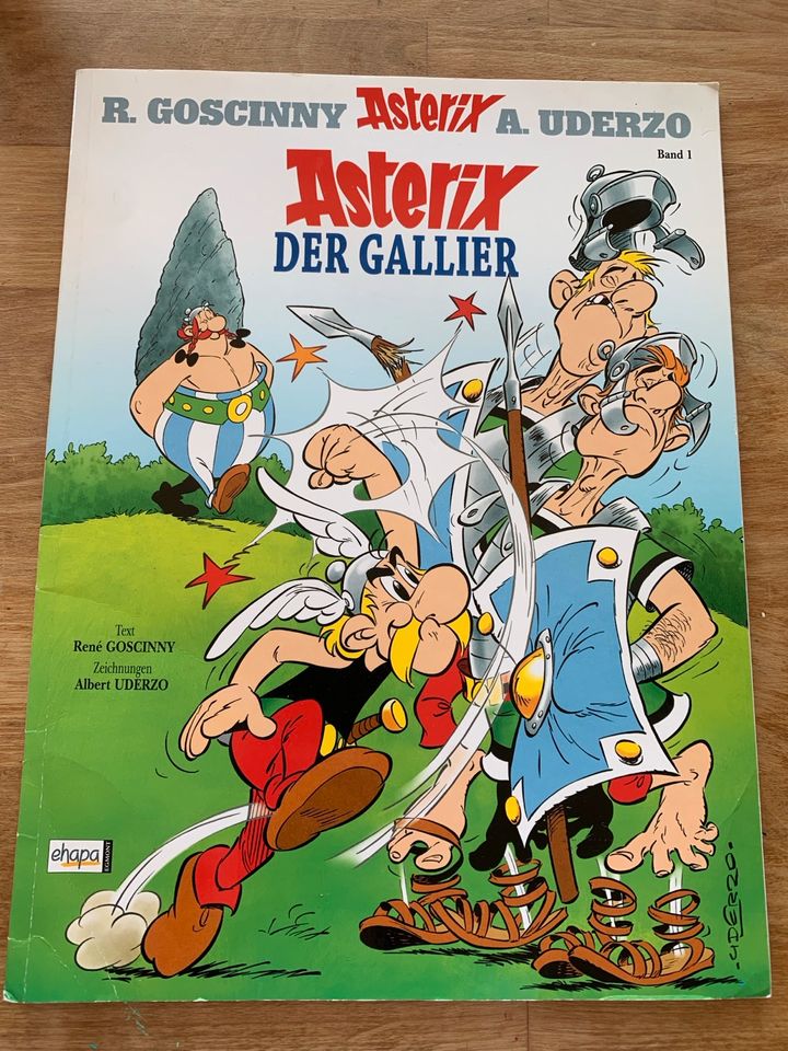 Comic Asterix Der Gallier 2013 in Bünde