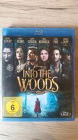 Blu-ray Into the Woods Rheinland-Pfalz - Flonheim Vorschau