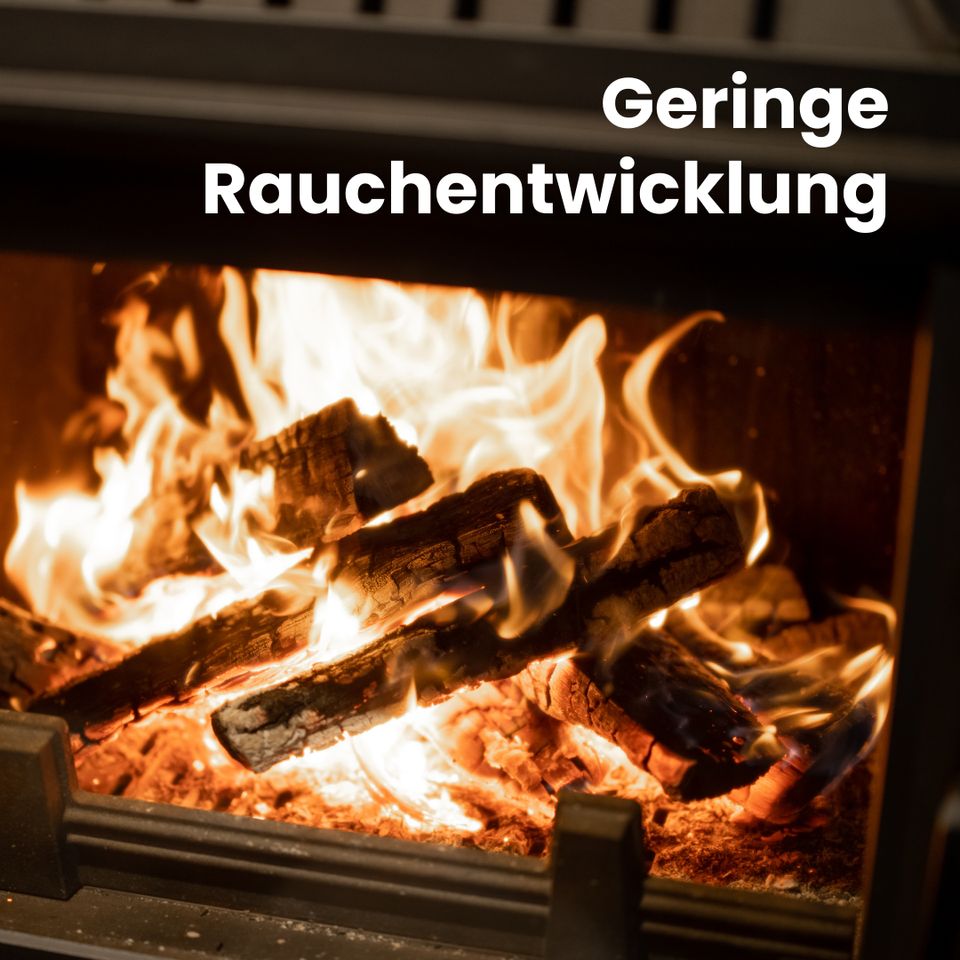 ✅ LKW Ladung (52 RM) Brennholz & Kaminholz ✓ höchste Qualität ✓ 100% Buche | Birke | Eiche | Laubholz in Berlin