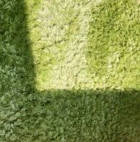 Neuwertig: Hochflor 160 x 90 Teppich weich grün Hessen - Lohra Vorschau