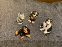 Schleich Tiere 4er Set (2x Katze, Affe, Hund) Aubing-Lochhausen-Langwied - Aubing Vorschau