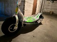 Elektro Scooter Baden-Württemberg - Singen Vorschau