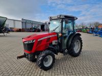 Massey Ferguson 3709 V, Schmalspurtraktor Niedersachsen - Twistringen Vorschau