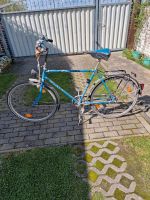 Herrenfahrrad Brandenburg - Seelow Vorschau