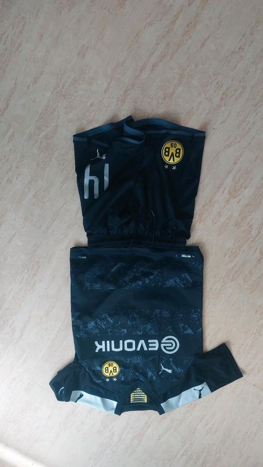 BVB, Trikot, Sport, Schulz in Dortmund