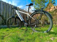 Raleigh Dundee MTB 625Watt Akku Baden-Württemberg - Dielheim Vorschau