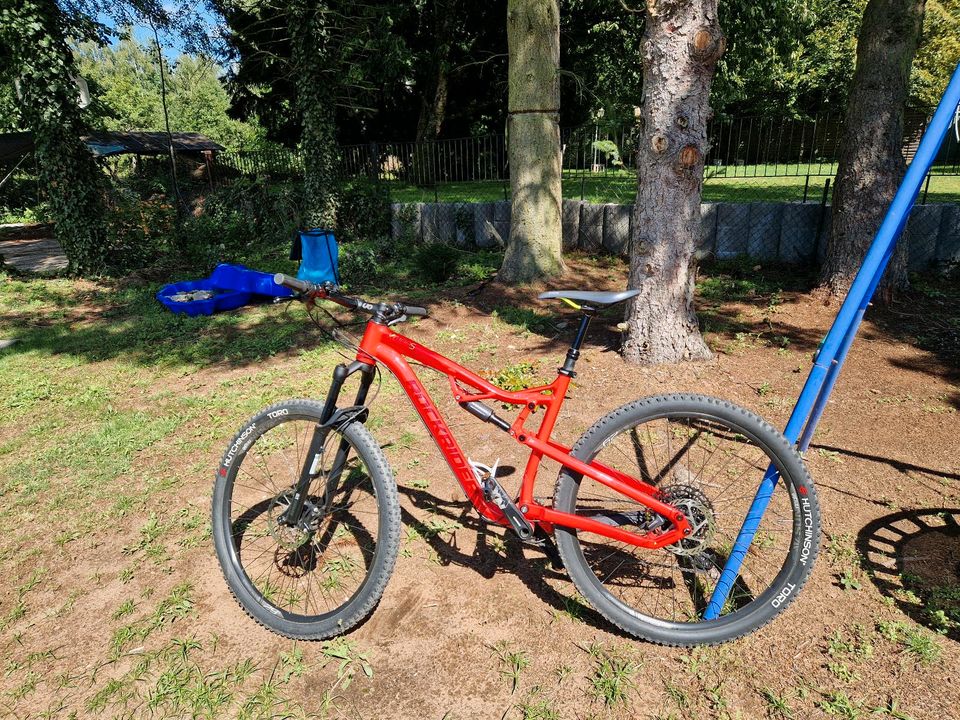 Rockrider xc 100s in Bruchmühlbach-Miesau