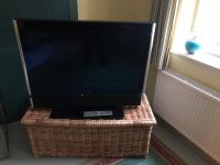 Metz Linus 42 LED 100 twin Z Fernseher mit Festplatte Herzogtum Lauenburg - Lauenburg Vorschau