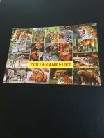 Historische Ansichtskarte Zoo Frankfurt, 60er Jahre, Großformat Herzogtum Lauenburg - Wentorf Vorschau