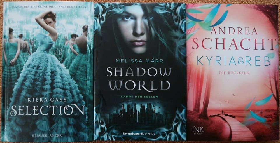 Selection Poster Kyria & Reb Shadow World Jugend Fantasy Buch in Dresden
