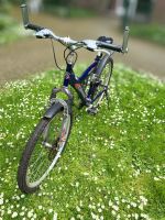 Fahrrad sportlich Mountainbike Duisburg - Walsum Vorschau