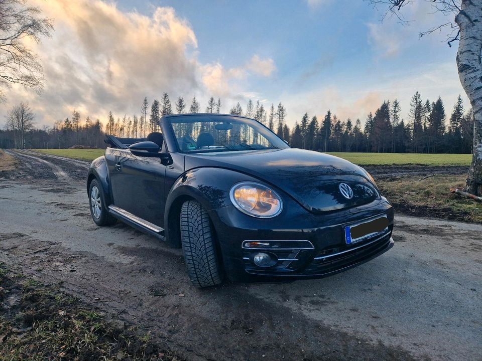 Vw Beetle Cabrio 2.0 TDI, 110PS, Allstar, Bj 2017 in Hof (Saale)