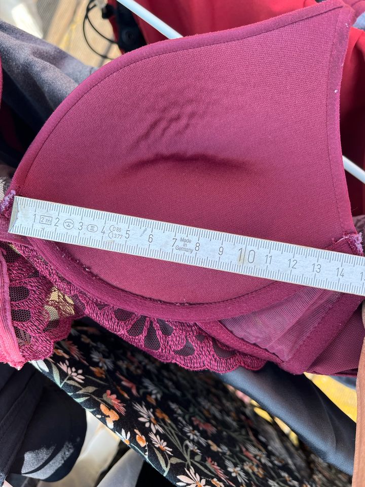 S / 75 B Dessous BH Bra Bordeaux mit Spitze sexy Hunkemöller in Dresden