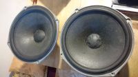 2 x Celestion Rola 12" Lautsprecher  Loudspeaker MÜ 1978 Ditton? München - Maxvorstadt Vorschau