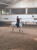 Suche Reitbeteiligung  Reiterin sucht Pferd Hessen - Niederdorfelden Vorschau