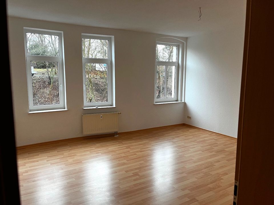 Schöne 2 Zimmer-Wohnung mit Balkon in Plauen