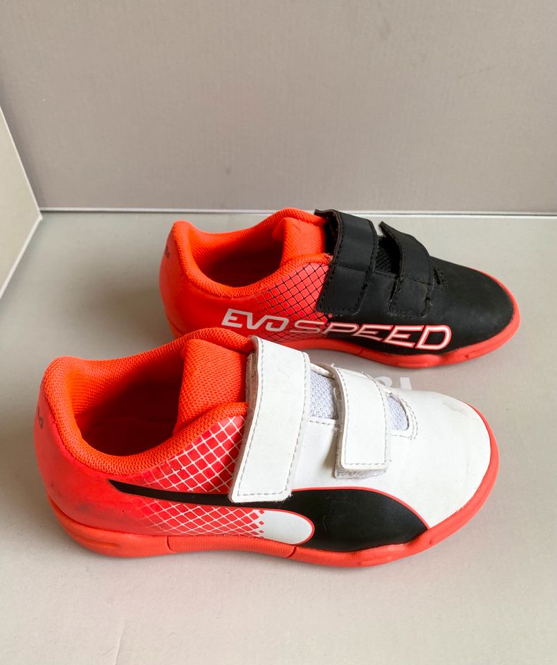 EvoSpeed Puma Turnschuhe Hallenschuhe 30 Klett Sneaker TOP in Stadthagen