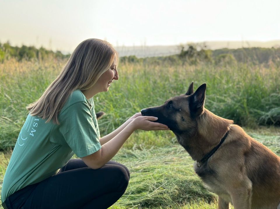 Professioneller Gassi-Service/ Dogwalking in Erbenheim (65205) in Wiesbaden