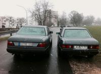 Suche W124 oder W201 Schalter Brandenburg - Panketal Vorschau