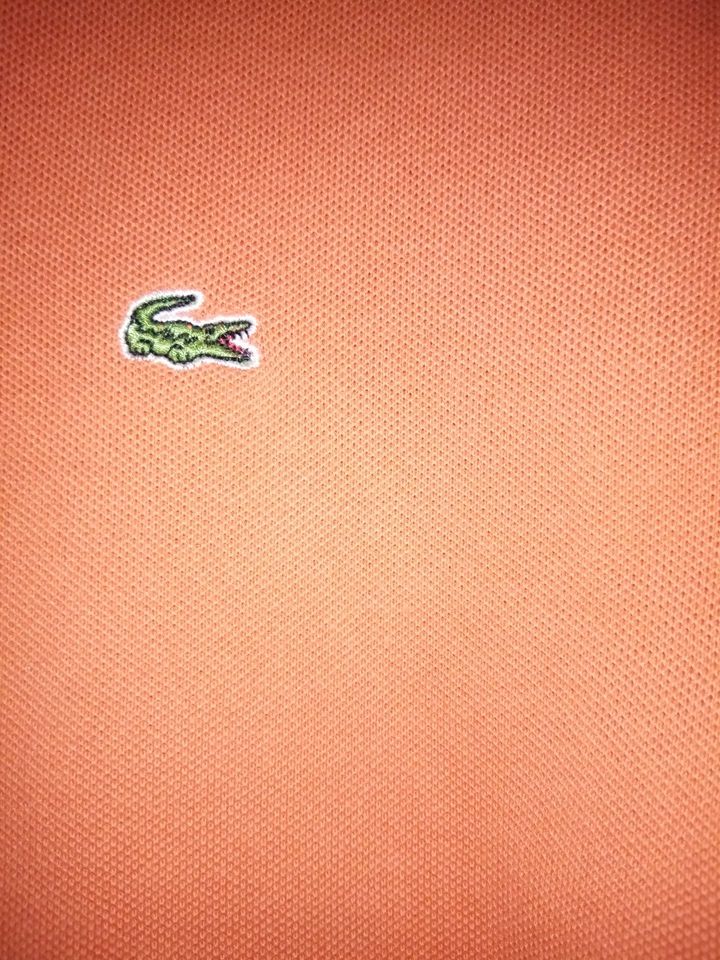 Jungen  Lacoste T-Shirt /Büwa Sparversand in Erfurt