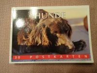 HUNDE 30 verschiedene Postkarten NEU Rheinland-Pfalz - Gunderath Vorschau
