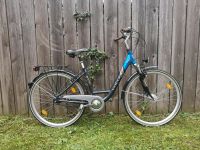 Votone Fahrrad 28" Rh. :50cm 7Gang Nabendynamo V-Brakes Dresden - Cotta Vorschau