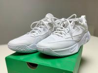 Nike Giannis Immortality 3 Gr 45,5 Berlin - Friedenau Vorschau