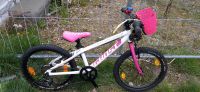 Ghost Orbea  scott 20zoll 7gang wie neu Neuhausen-Nymphenburg - Neuhausen Vorschau