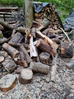 Brennholz,  Holzreste, 3 bis 4 m³  trocken zum Winter Nordrhein-Westfalen - Kalletal Vorschau