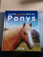 Erstes Buch der Ponys Sachsen - Oschatz Vorschau