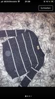 Hollister strickpulli Nordrhein-Westfalen - Kevelaer Vorschau