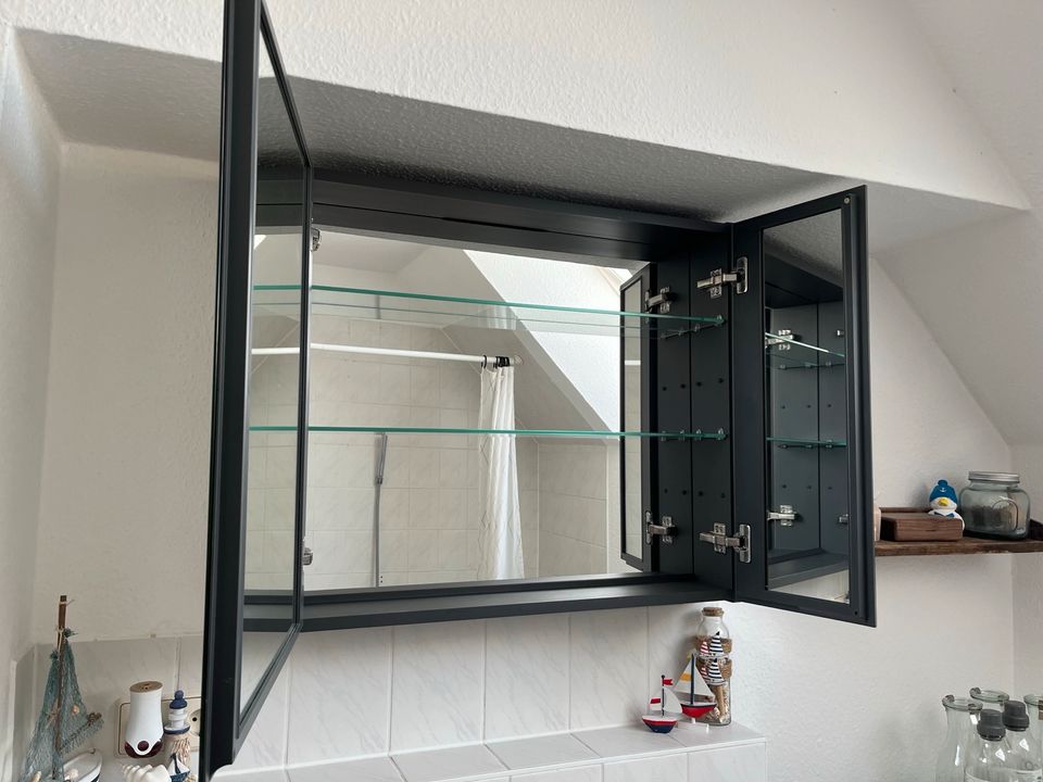 Emke Spiegelschrank Badezimmerschrank Möbel Wohnung anthrazit in Torgau