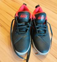 Nike Sportschuhe Gr. 37,5 Sachsen - Glashütte Vorschau