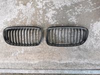 Grill Nieren BMW E90 E91 LCI mit und ohne M Paket Nordrhein-Westfalen - Marl Vorschau