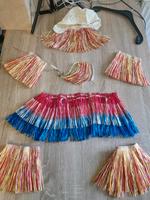 Hula Hoop Kostüm Fasching Karneval Thüringen - Untermaßfeld Vorschau