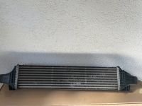 Mercedes A Klasse W176  Ladeluftkühler Intercooler 2465000100 Hessen - Solms Vorschau