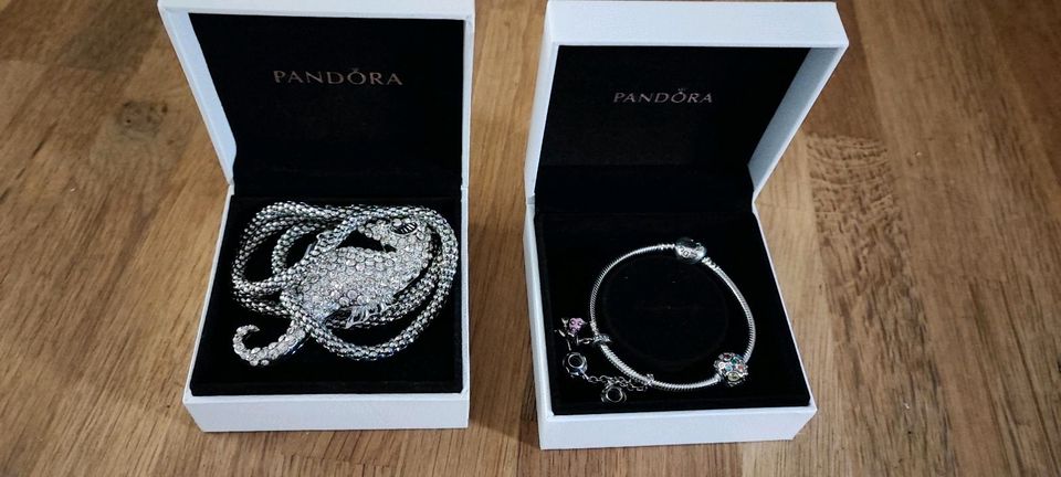 Pandora Armband und Halskette in Moringen