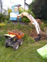 Vermiete Minidumper Kipper 300kg Nutzlast Allrad Profi Maschine Thüringen - Eisfeld Vorschau