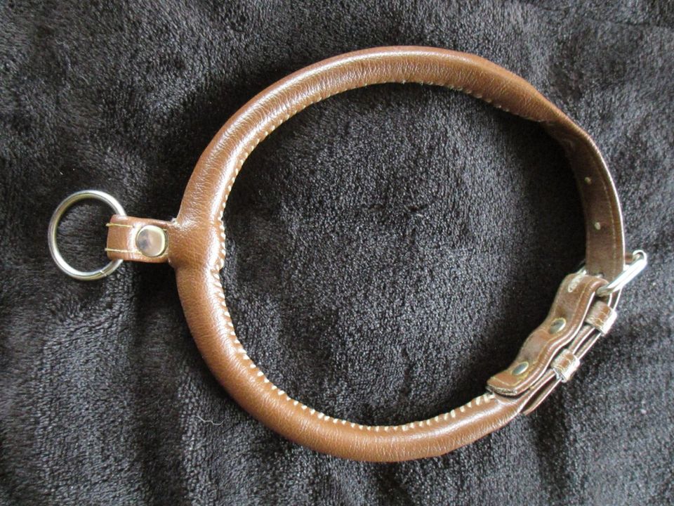 Japan Akita HUNDE Collar AUSSTELLUNGS Halsband SHOW  Gesamtlänge in Lutzingen