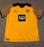 BVB Heimtrikot XL Haaland Session 21/22 + Schal wenn gewollt Brandenburg - Bernau Vorschau